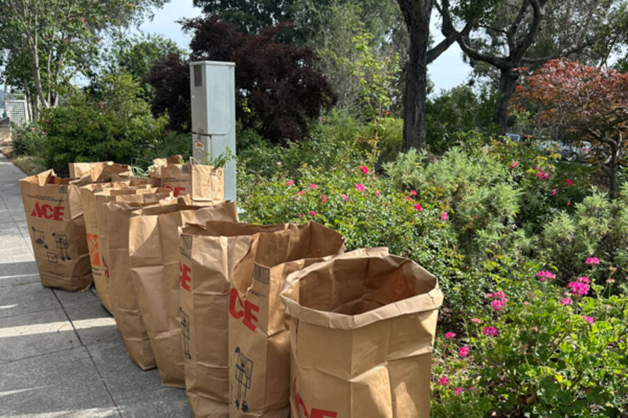 Paper sacks of cleared plants lined up along the path for the city to collect