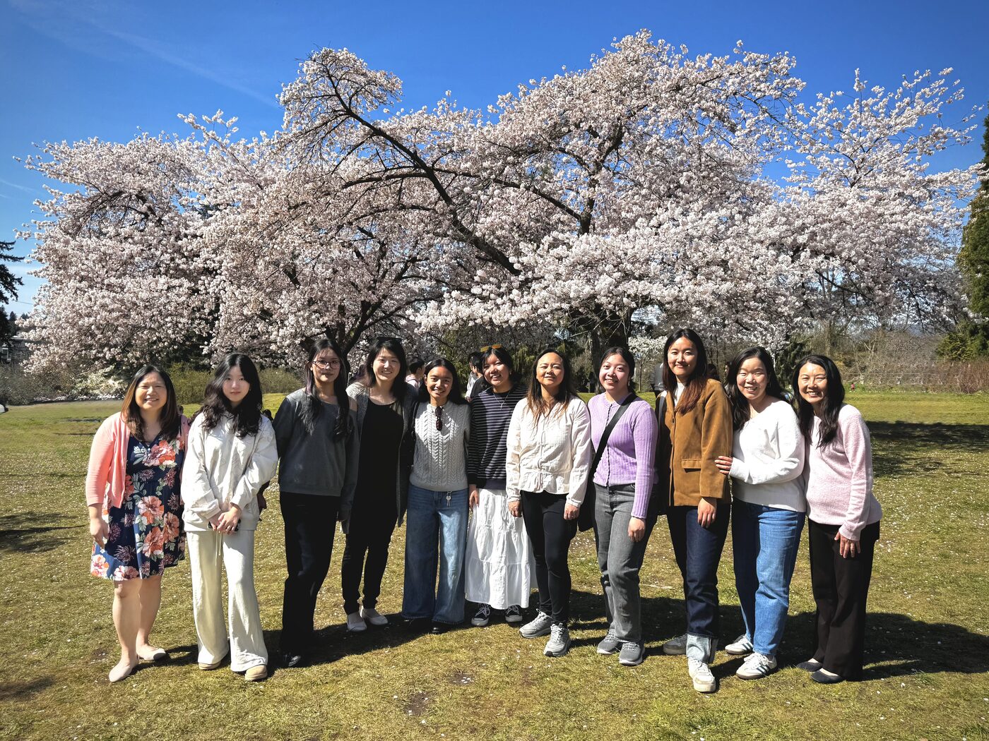 ISMP students and mentors under a cherry tree in full bloom in Vancouver